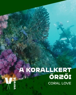 A korallkert őrzői + Igazságra várva Paengmokban 