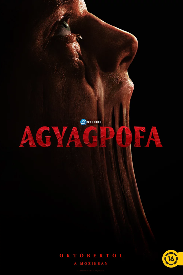 ClayFace plakátja