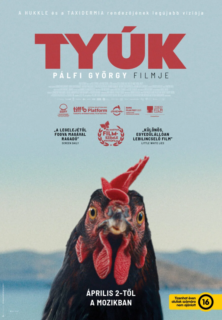 Tyúk 